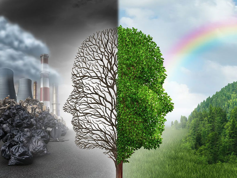 ������ѯ